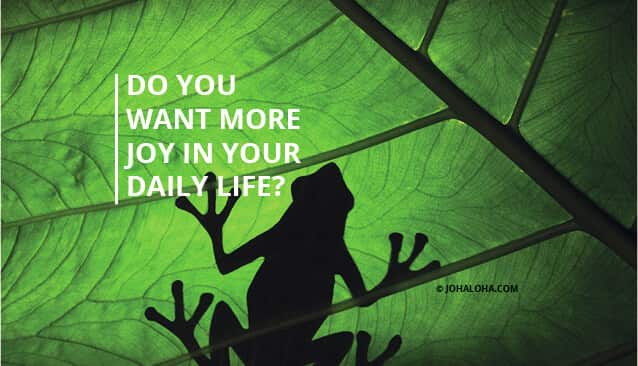 Joy In Daily Life Johaloha Courses