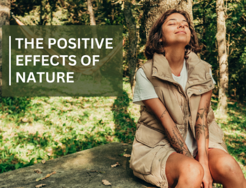 Learn how nature helps you relax and increase your well-being!