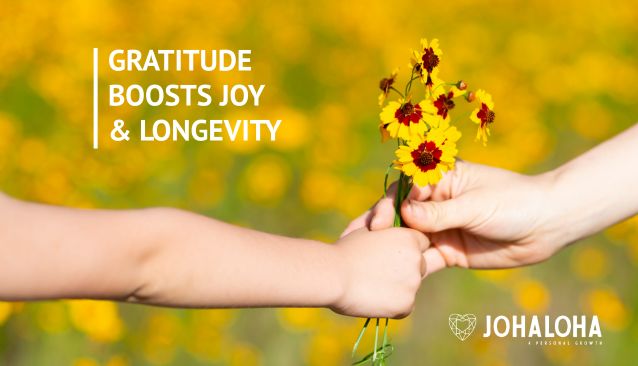gratitude, joy, wellbeing, mental health, longevity, happiness, Johaloha